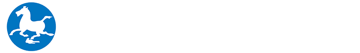 CNTO Logo