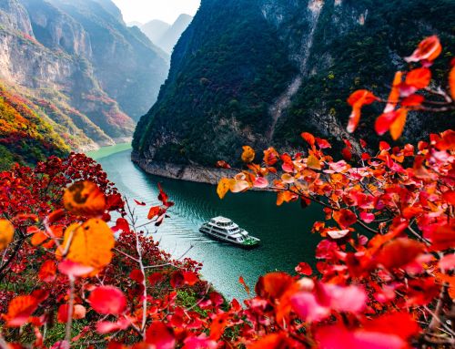 World Travel Market 2025: Wandering in China and Witness the Beauty of Nature