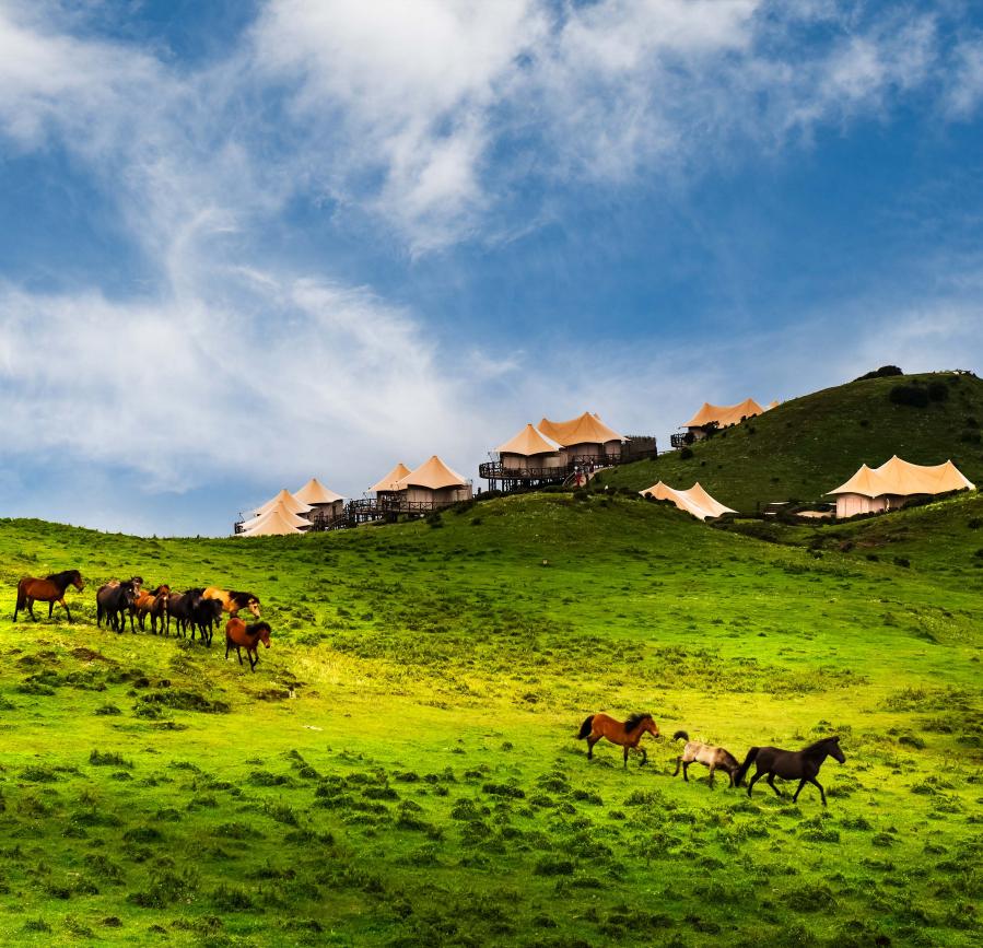 Wumeng Grand Grasslands