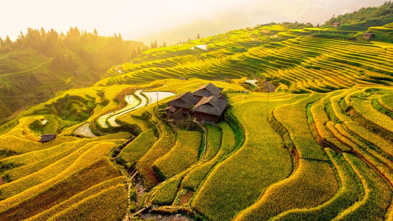 Jiabang Terrace Fields