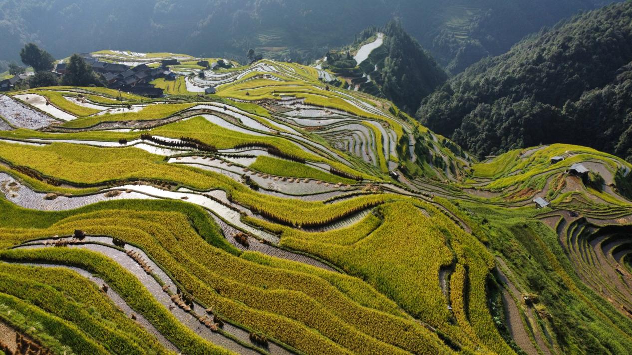 Jiabang Terrace Fields