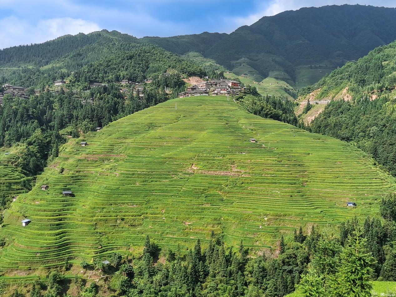 Jiabang Terrace Fields
