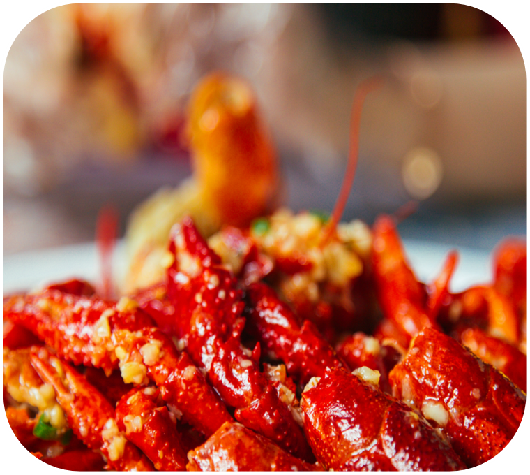 小龙虾 | Crayfish