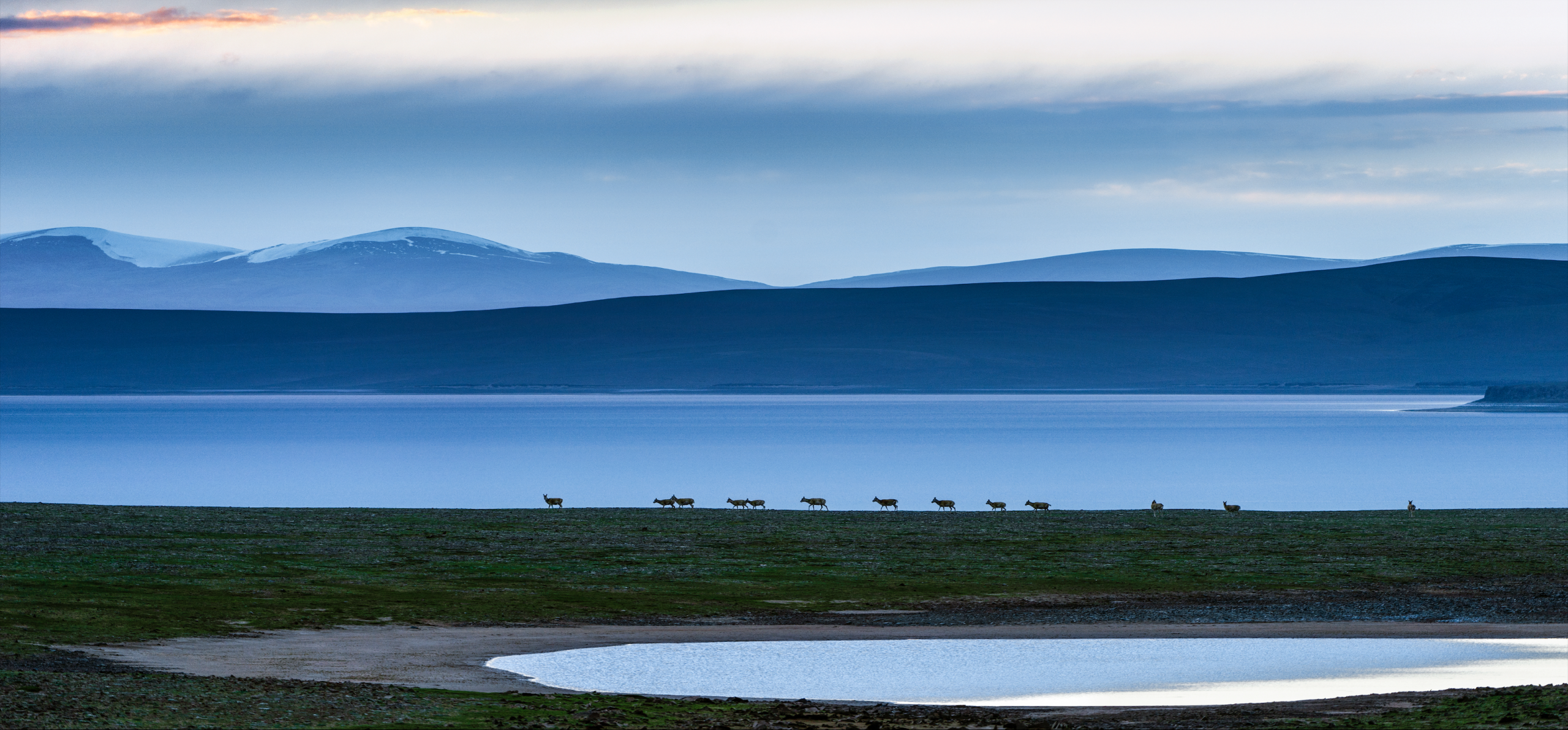 Zhuonai Lake in Hoh Xil