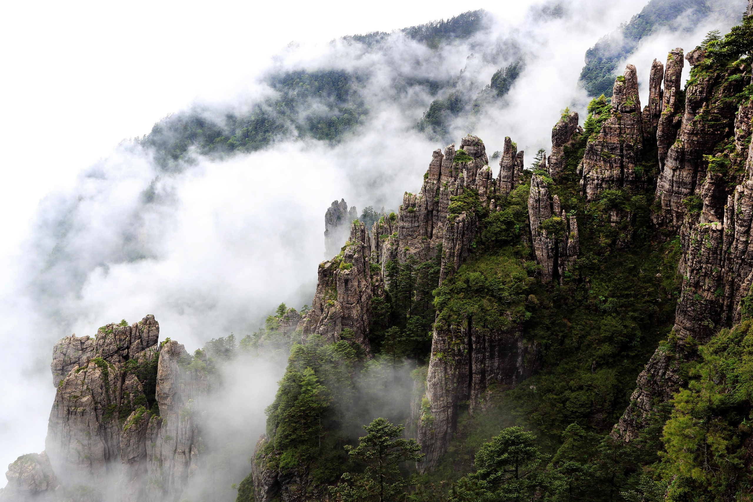 神农架 | Shennongjia