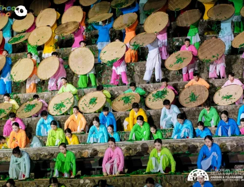 European Influencer Tour of Fujian Days 3–4: The King of Tulou, Ancient Quanzhou, and the Tea Rhythms of Wuyi