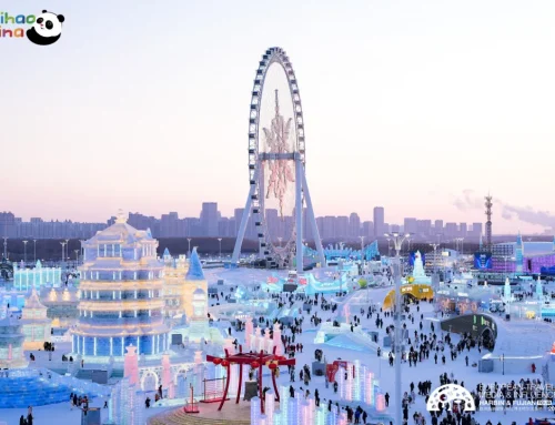 欧洲网红博主中国行哈尔滨站·第1日：中央大街、锅包肉与冰雪大世界