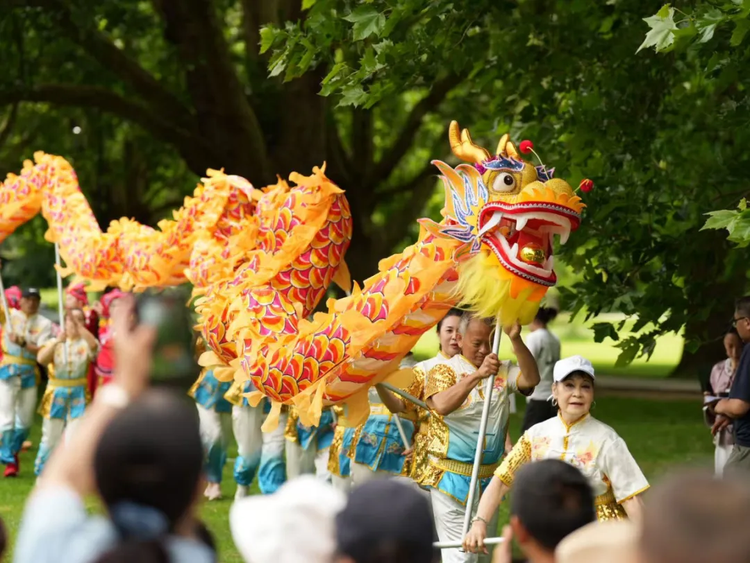 Dragon Boat 26-8