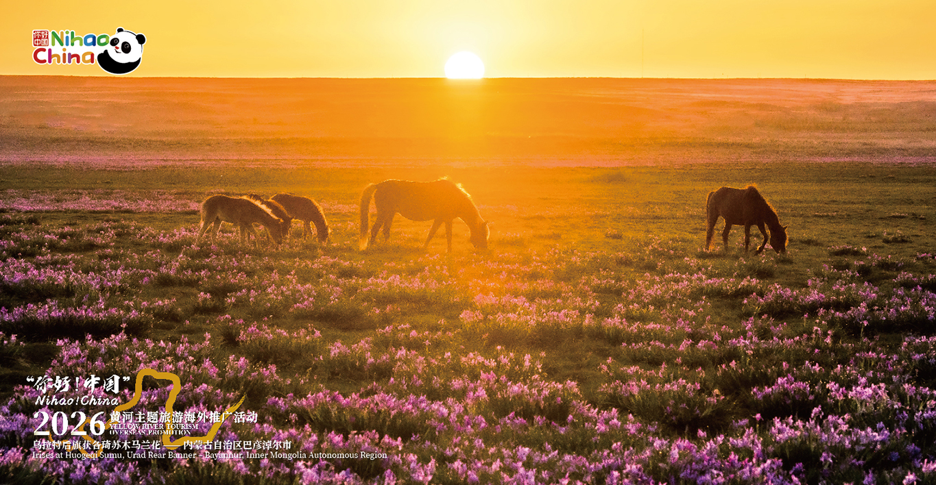 Irises at Huogeqi Sumu – Inner Mongolia