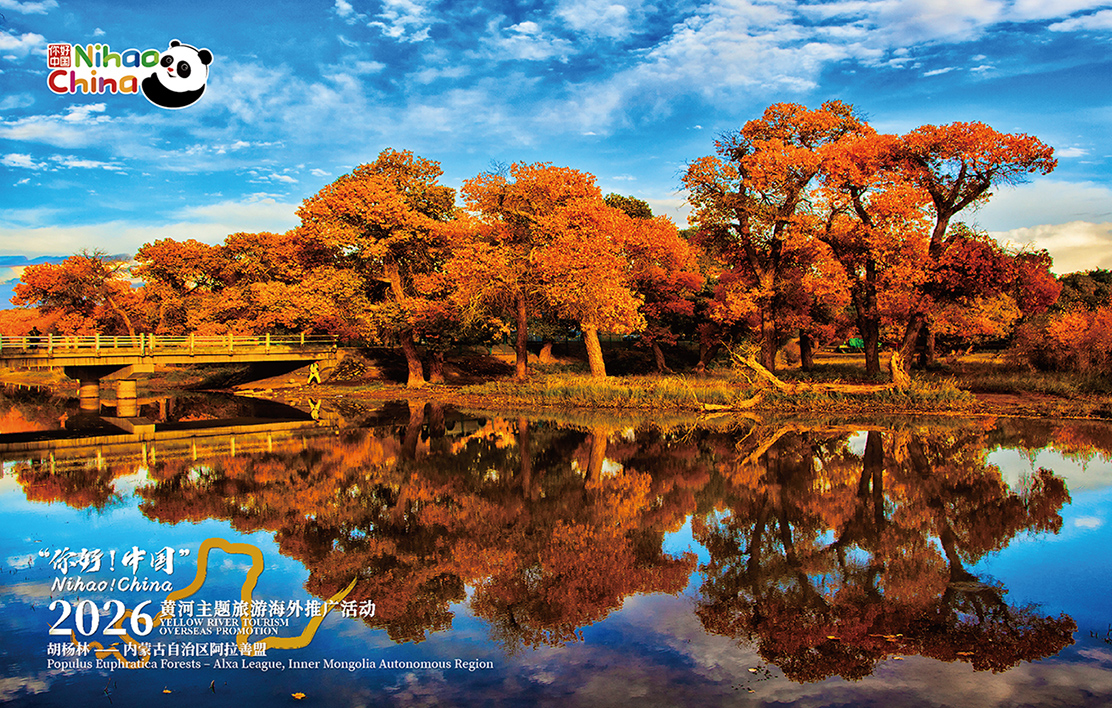 Populus Euphratica Forests – Inner Mongolia
